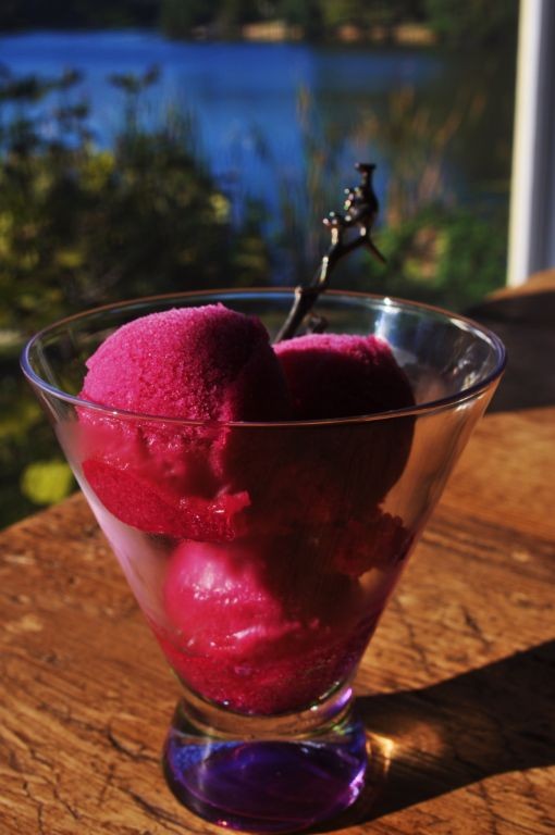 Prickly Pear Fruit Sorbet with Mint